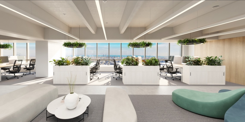 planta 20.jpg